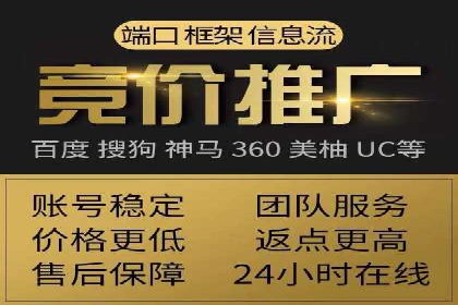 深入解析SEM竞价托管的成功案例